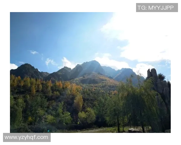 足球明星鬼畜照片高清图集展示让你大开眼界的搞笑瞬间与精彩瞬间合集